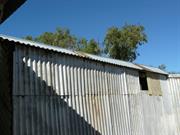 Shearing shed reroofed - north side